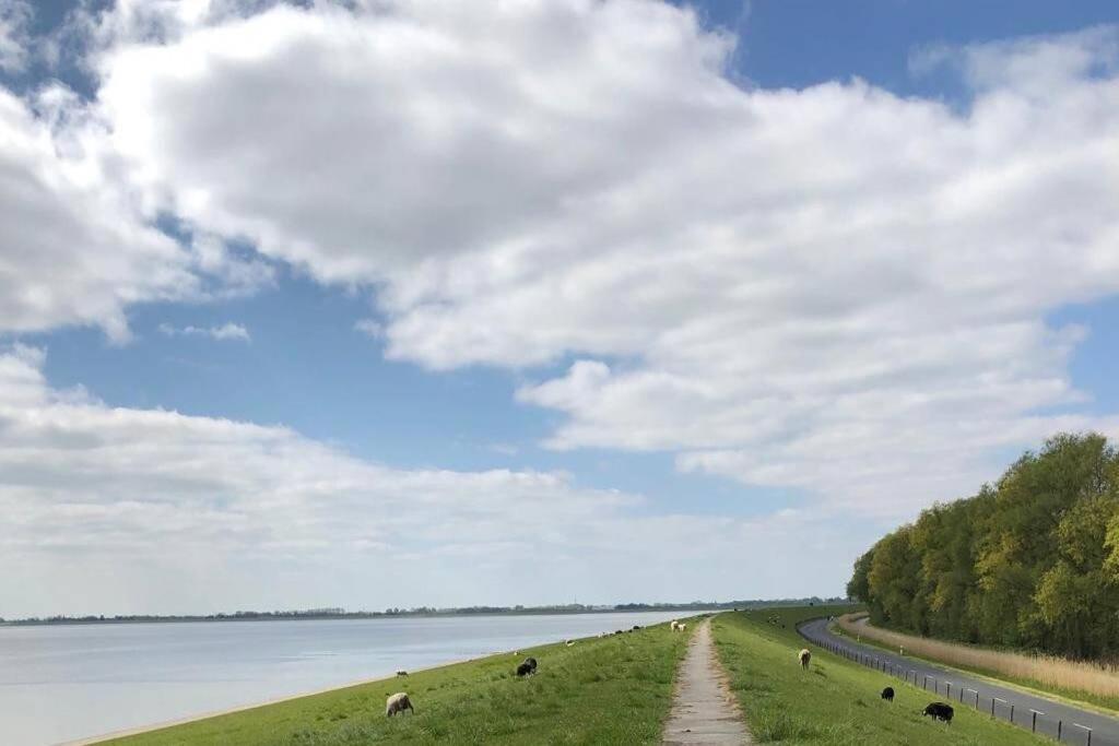 Wilhelms Havenkoje - Gemuetliches Innenstadtappartment วิลเฮล์มฮาเฟน ภายนอก รูปภาพ